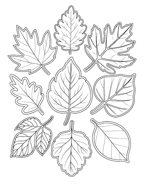Mixed fall leaves cutout sheet for crafts