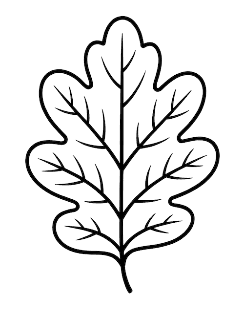 Bold oak leaf outline