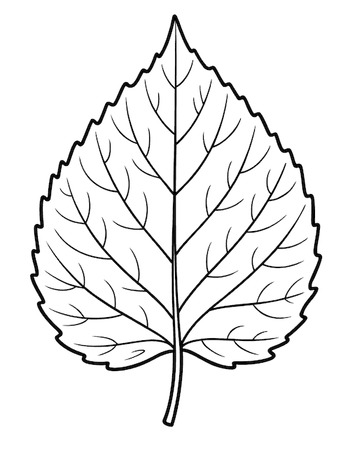 Intricate aspen leaf printable coloring page