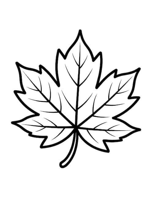 Bold maple leaf template for fall