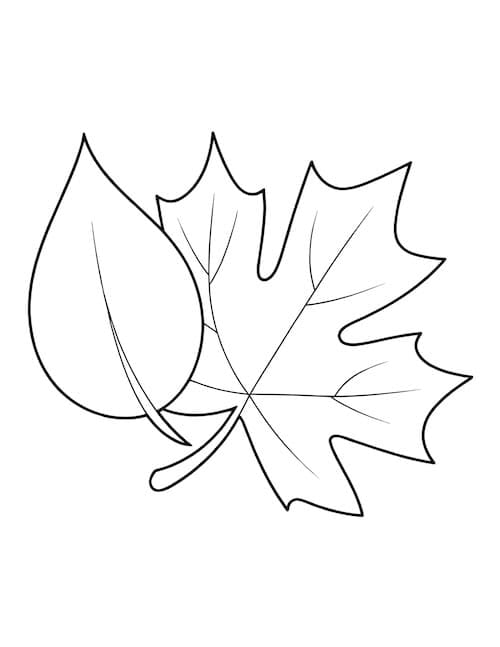 Two leaves outline