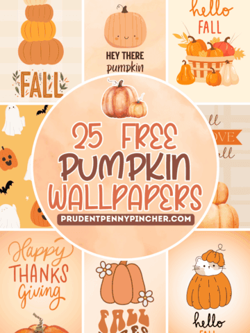 collage of pumpkin wallpapers for the phone