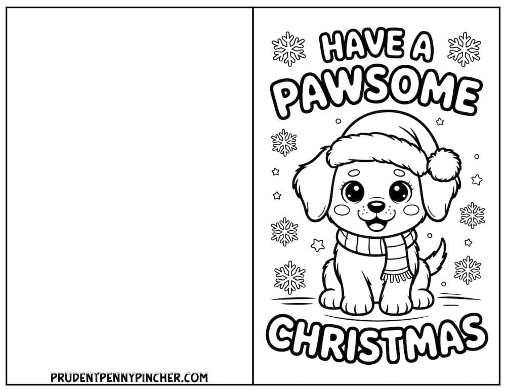 Puppy in Santa hat with scarf