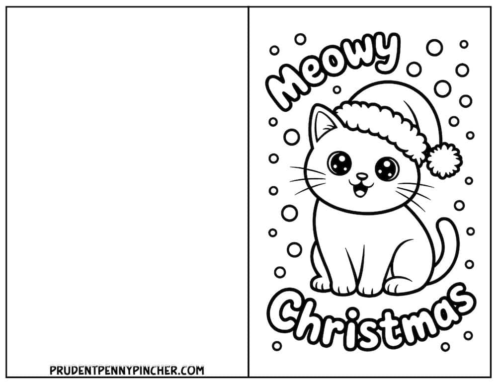 Meowy Christmas kitten in Santa cap