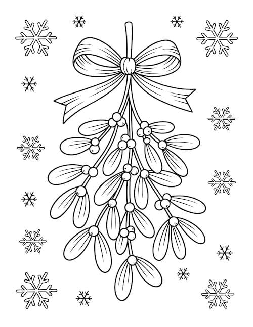 Mistletoe Bouquet with Bow