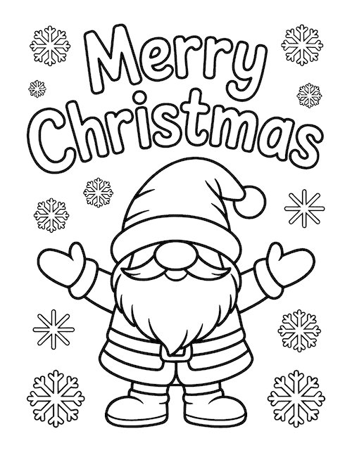 Merry Christmas Holiday Gnome