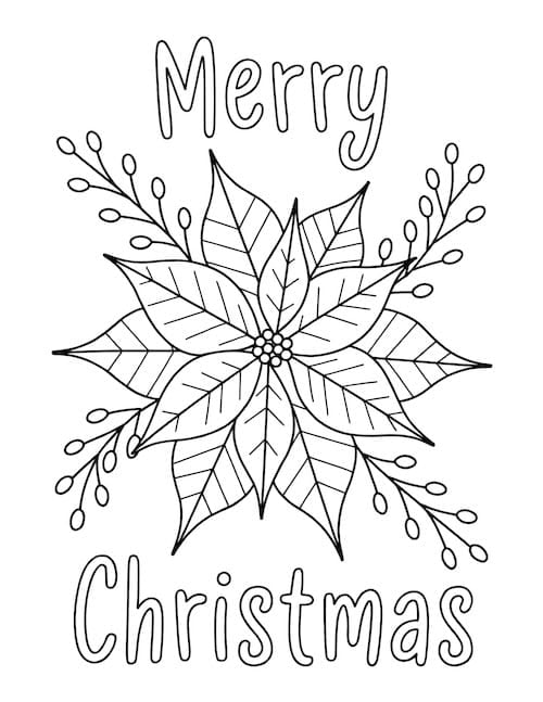 Merry Christmas Poinsettia Design
