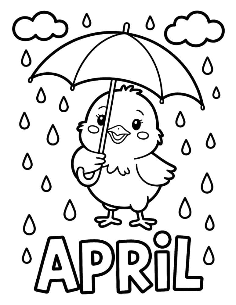 Chick in the Rain