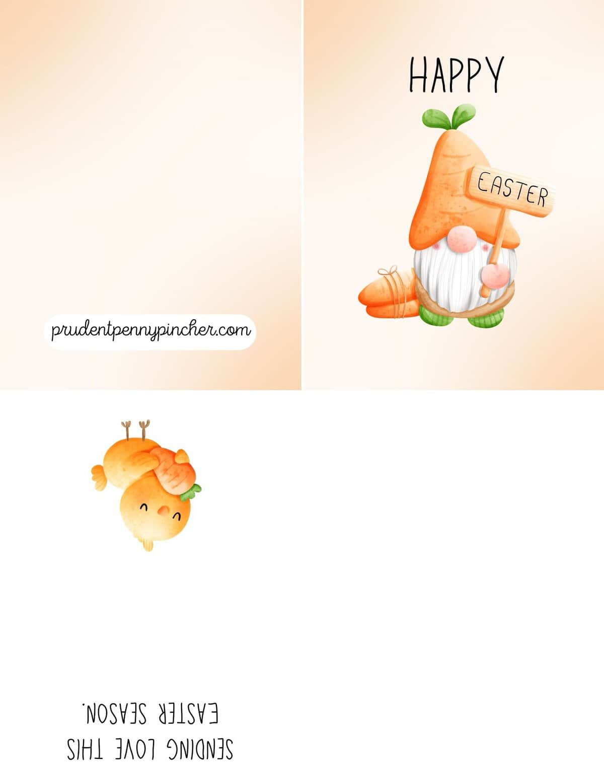 gnome with carrot costume and chick