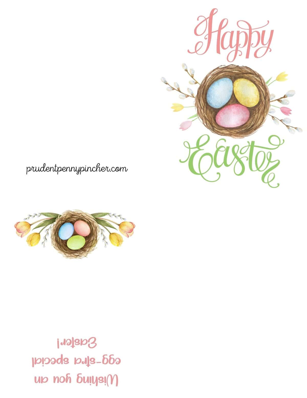pastel egg nest and spring flowers