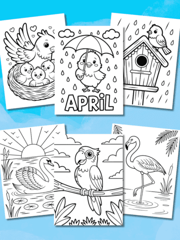 bird coloring pages