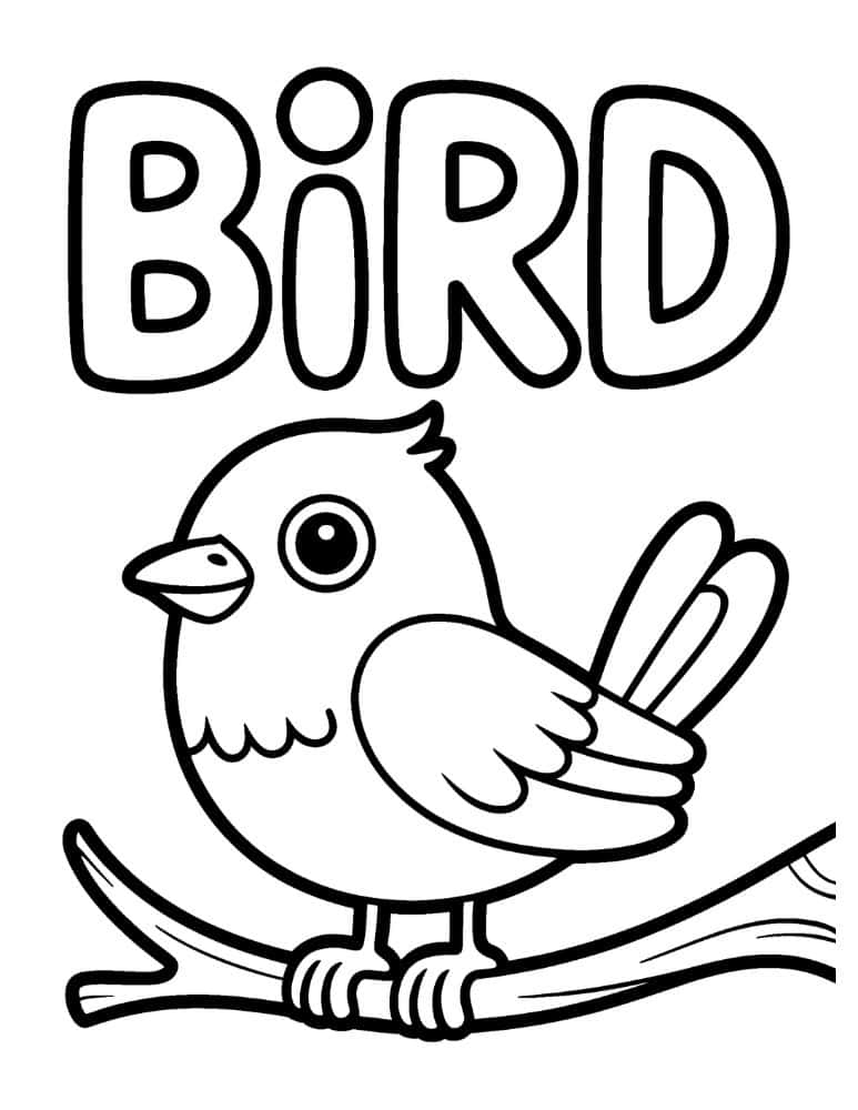 Bird on a branch coloring page