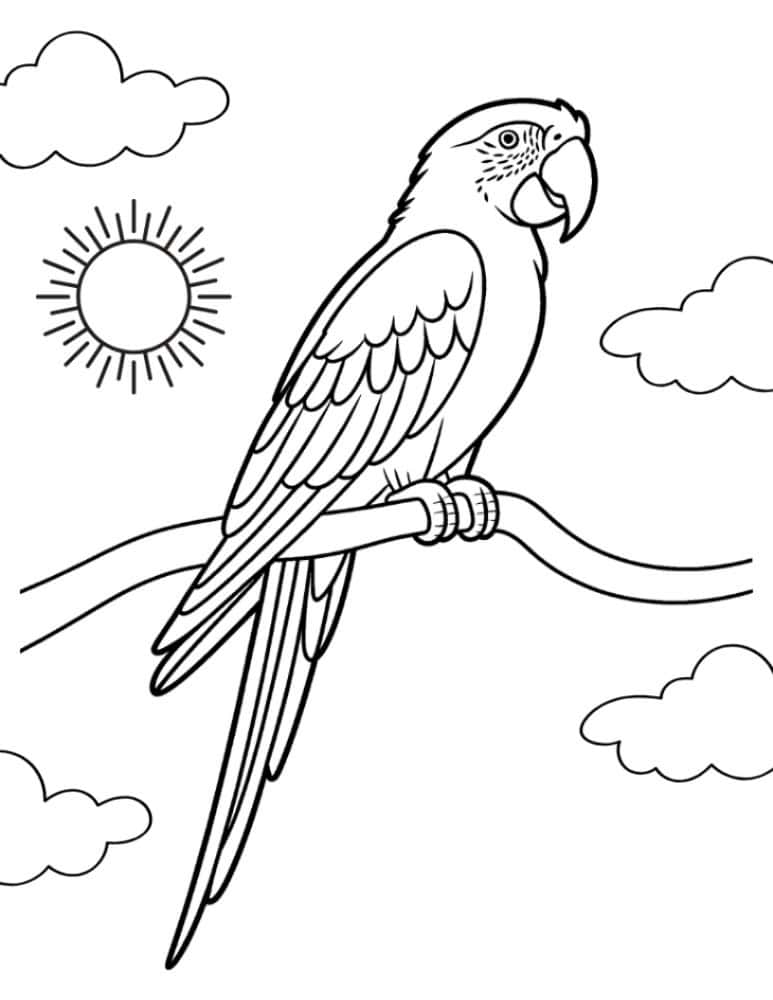parrot on a branch under the sun and clouds