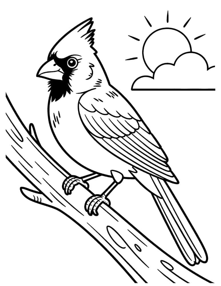 cardinal bird perched on a tree branch near the sun