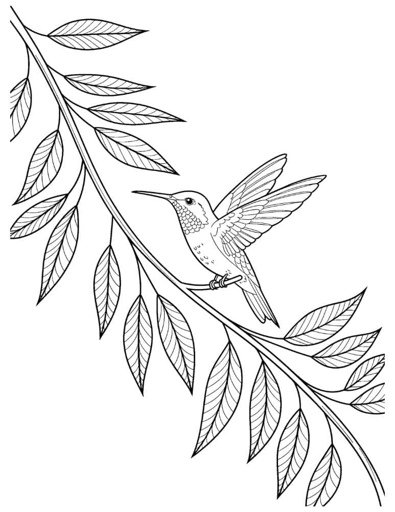 hummingbird perched on a leafy branch