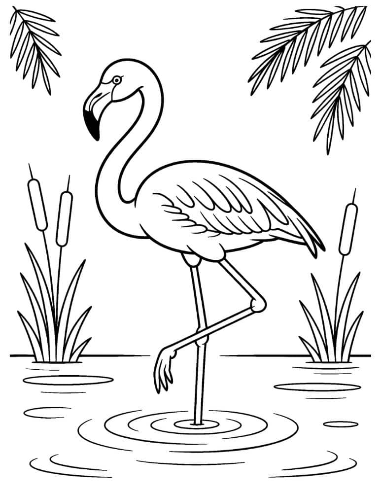 Flamingo coloring page