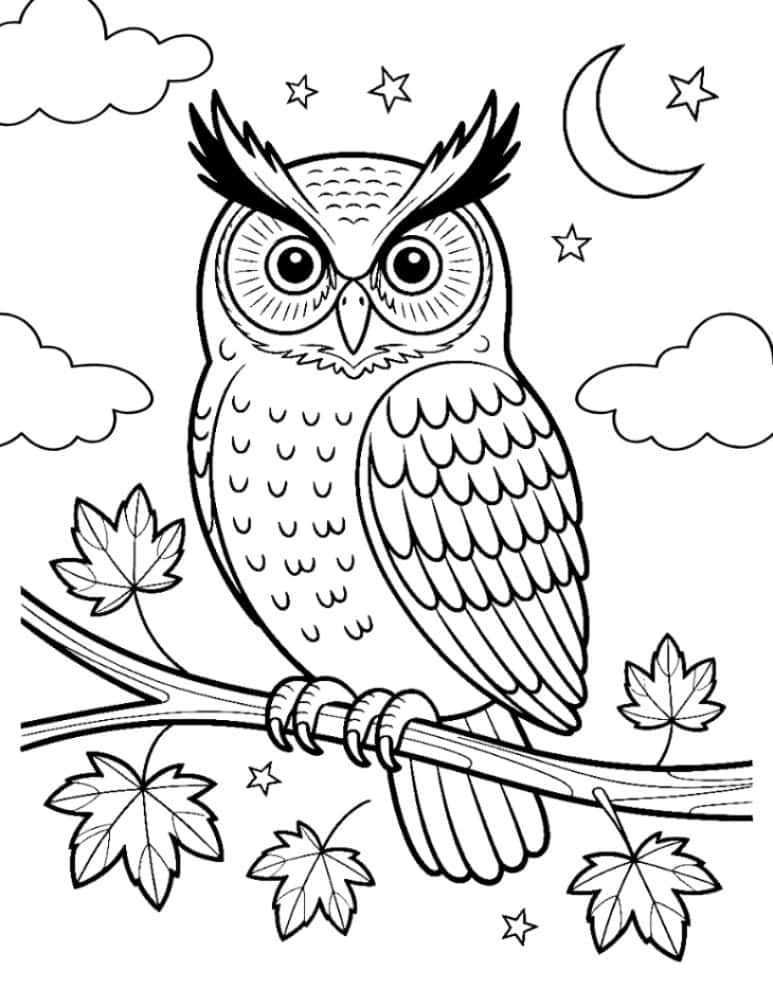 Owl coloring page
