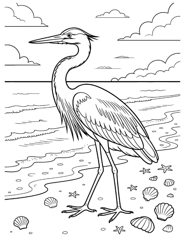 heron standing on a beach with seashells and starfish