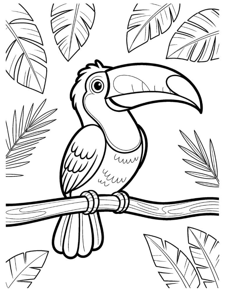 Toucan coloring page