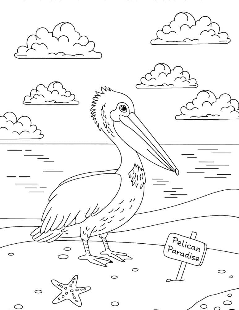 Pelican coloring page