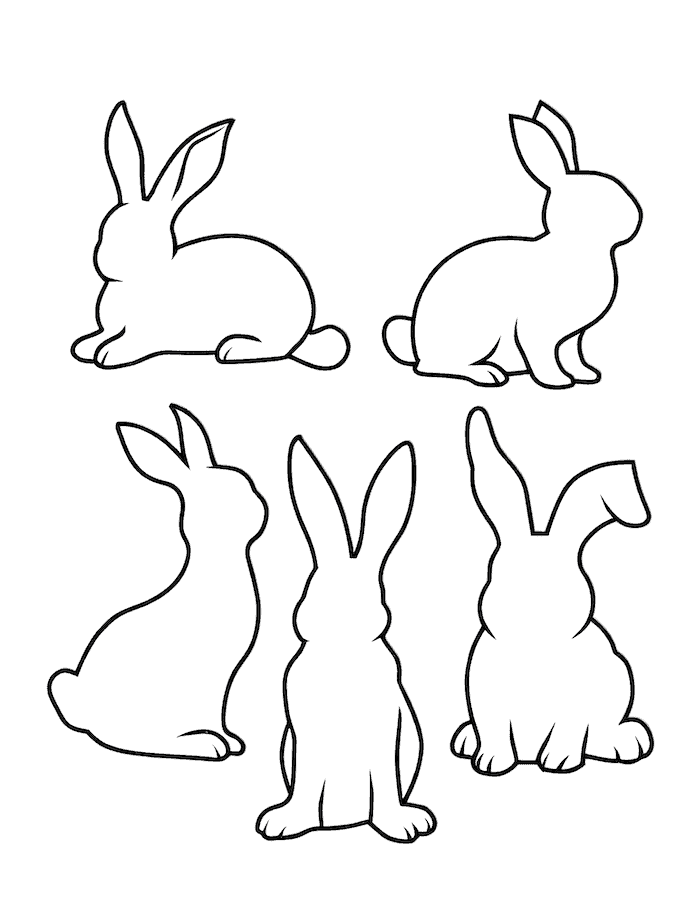 Bunny Poses