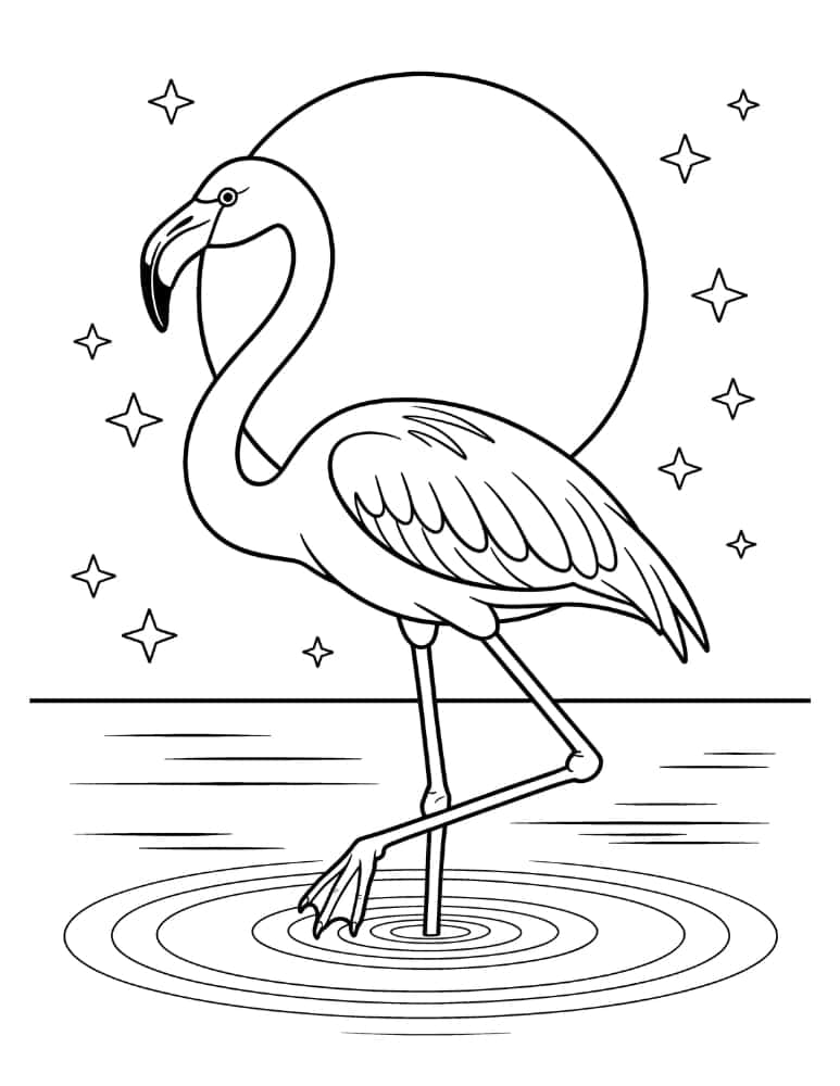 full moon nighttime coloring page with stars