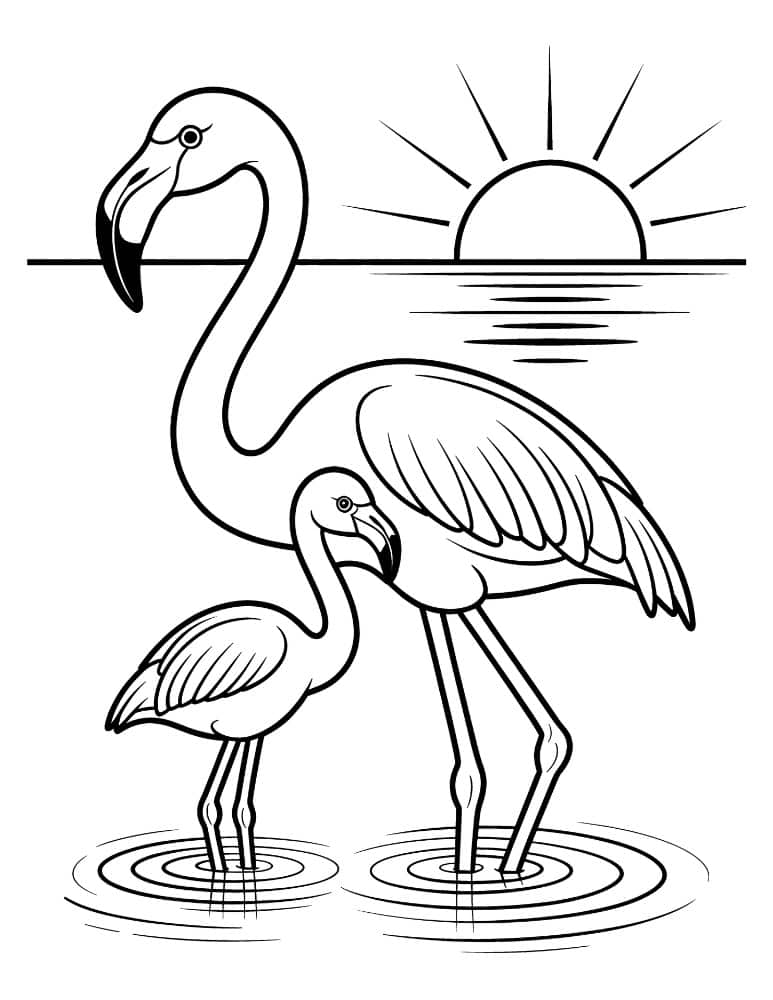 Mother and baby flamingo