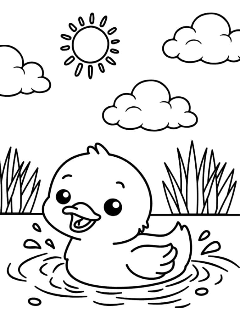 Duckling splashing in pond