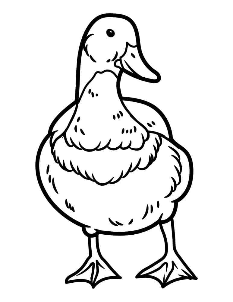 Realistic standing duck coloring page
