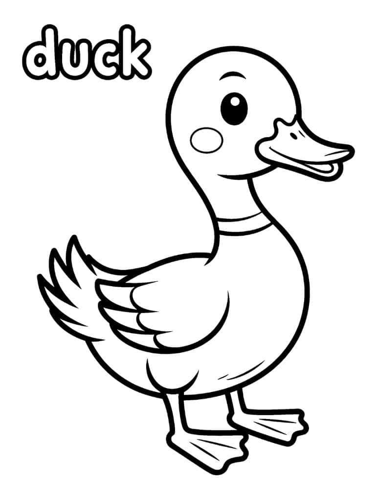 Simple duck outline