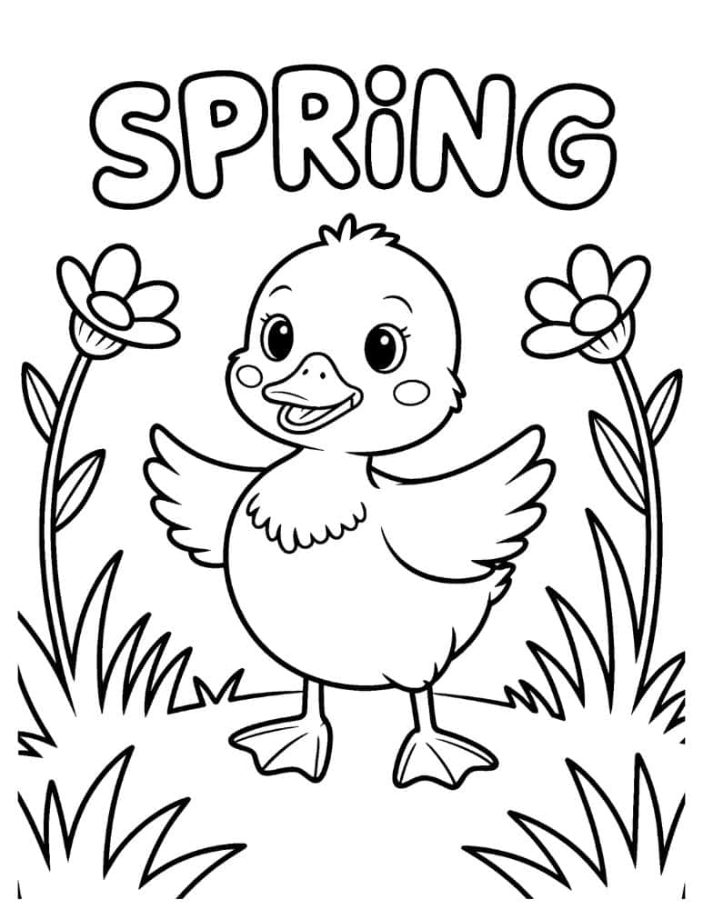 Spring duckling with flowers coloring page
