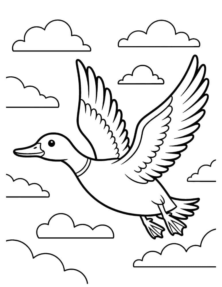 Flying duck in clouds coloring page