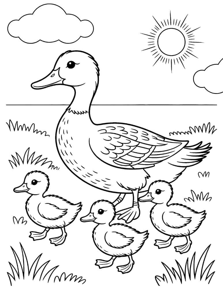 Mother duck with three ducklings walking coloring page