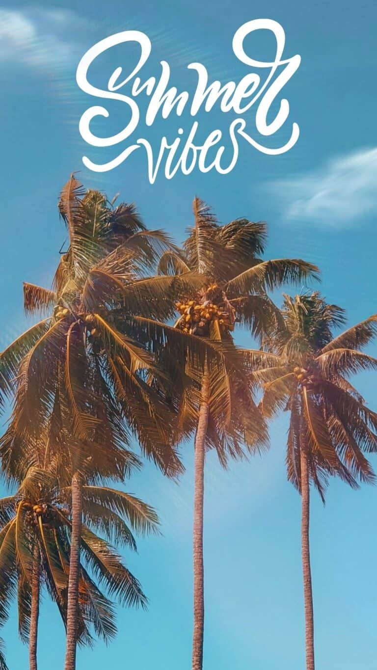 70 Free Summer Wallpapers for Phones - Prudent Penny Pincher