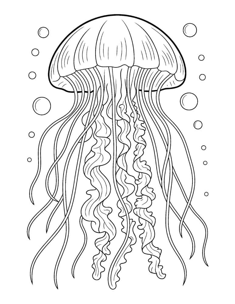 Realistic Jellyfish Coloring Page
