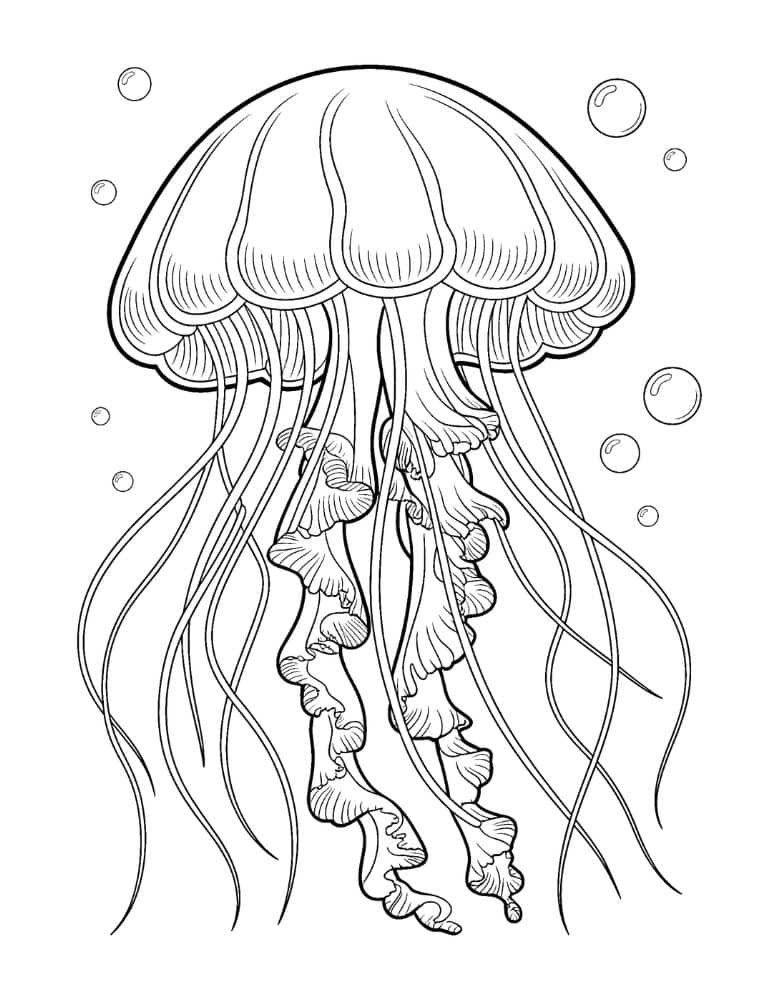 Detailed Jellyfish Coloring Page