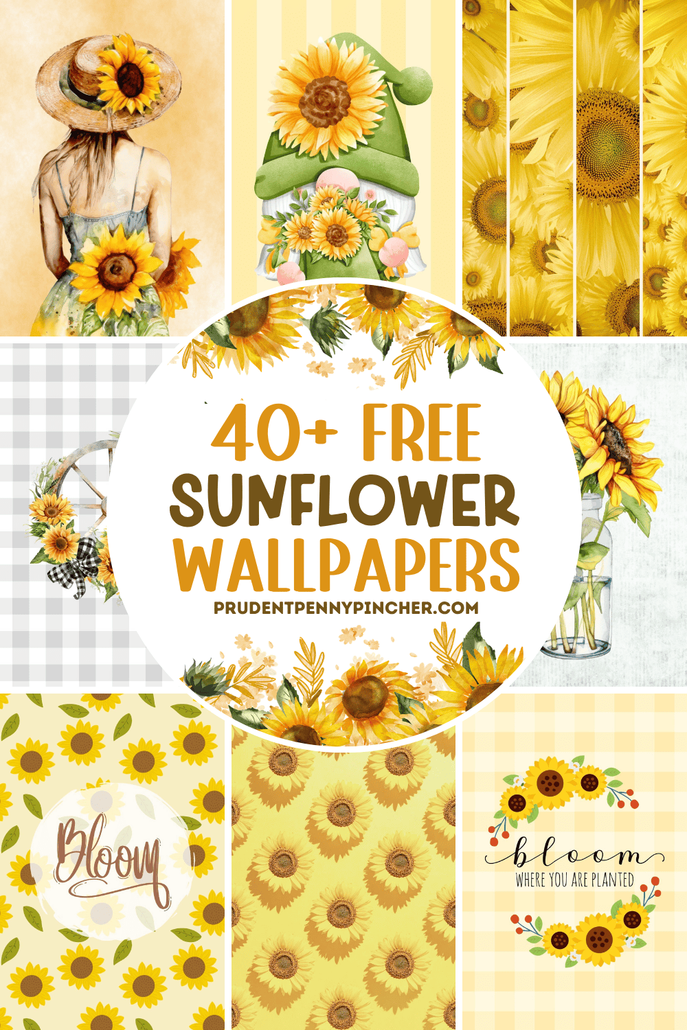 sunflower wallpapers for phones featuring aesthetic sunflower backgrounds, floral patterns, watercolor designs, farmhouse styles, and quote wallpapers for iPhone and Android.