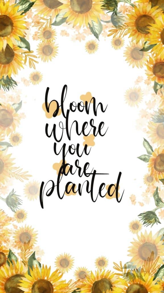 bloom where you are planted wallpaper