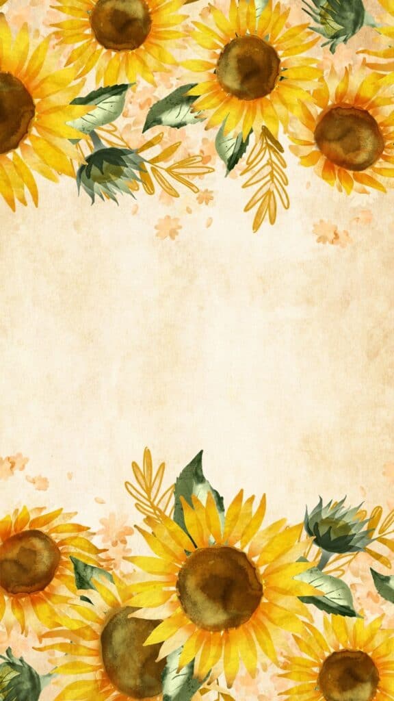 watercolor sunflower border wallpaper