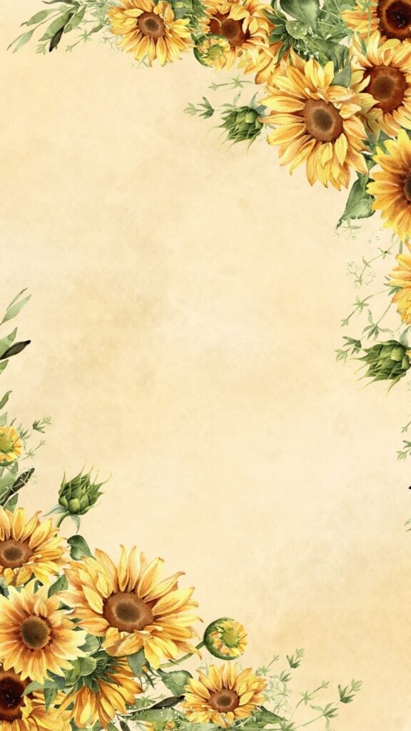 vintage sunflower border