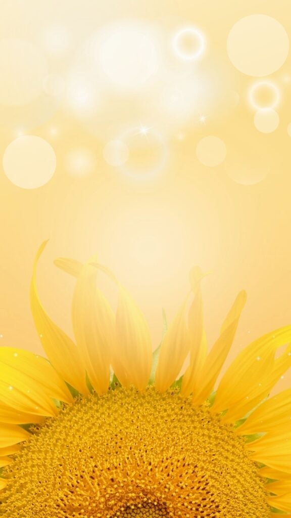 bright sunflower wallpaper