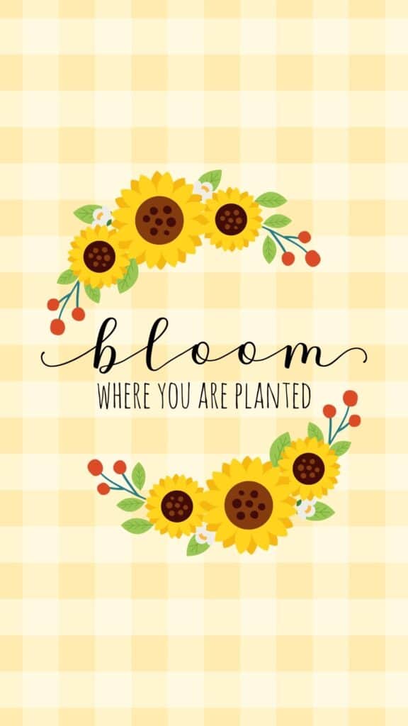 bloom where you are planted wallpaper