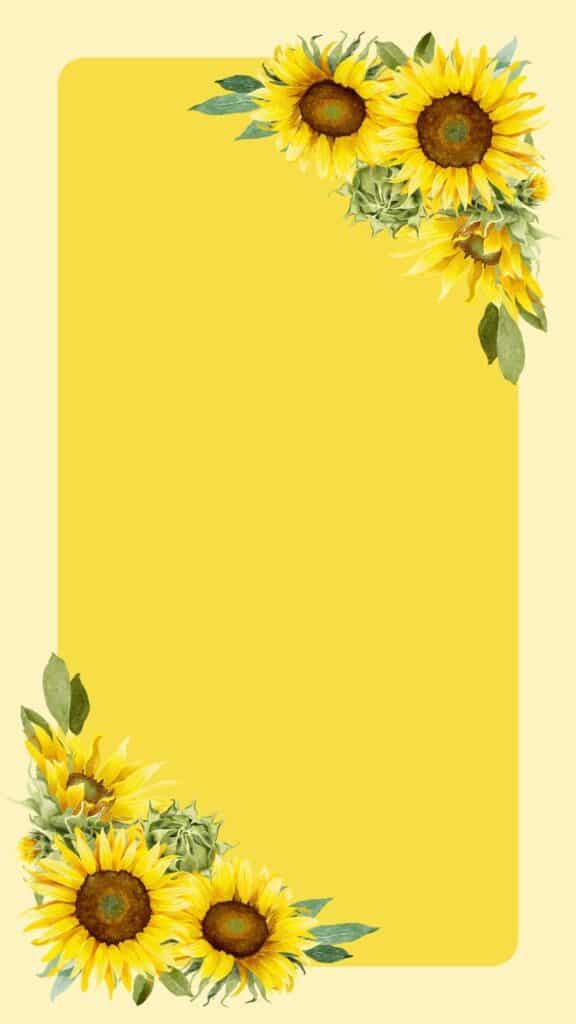 sunflower frame wallpaper