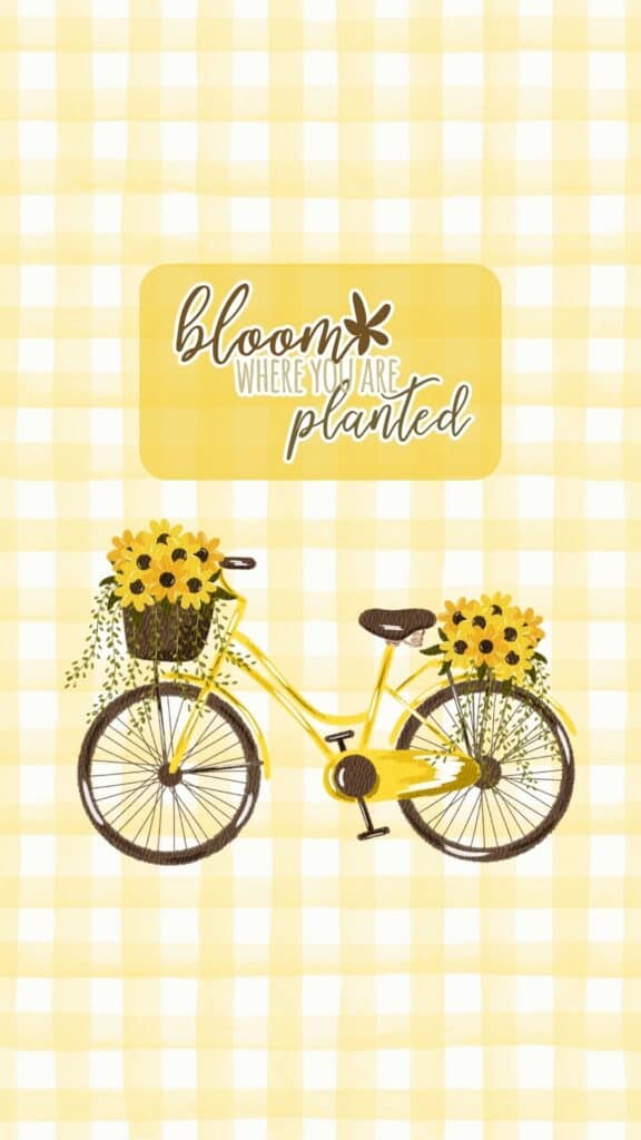 sunflower bicycle wallpaper