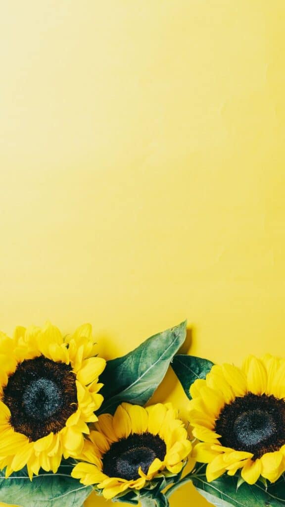 bouquet wallpaper
