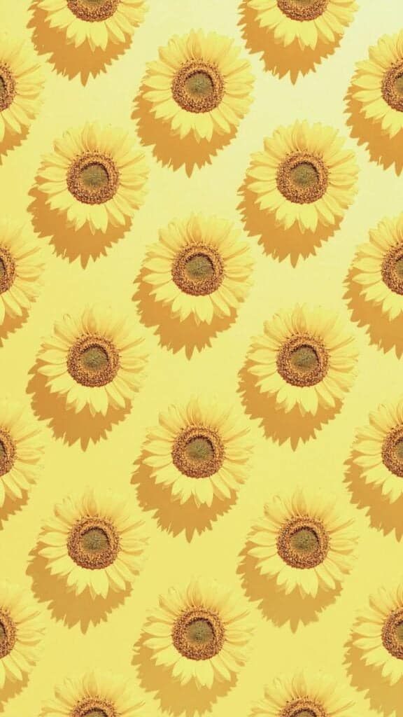 sunflower pattern wallpaper