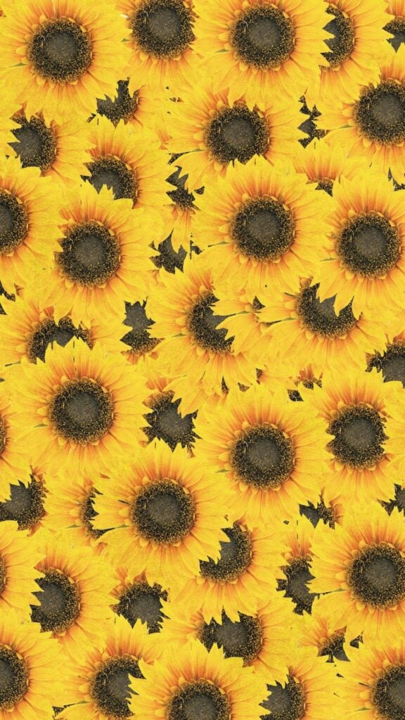 bold floral pattern