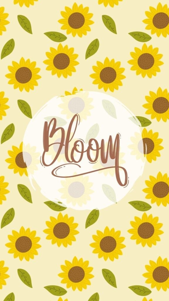 sunflower bloom wallpaper