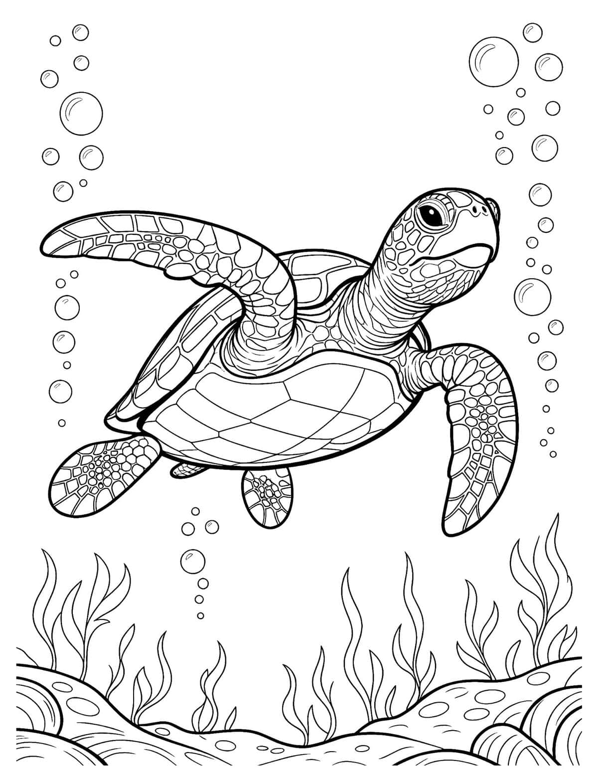 detailed sea turtle coloring page