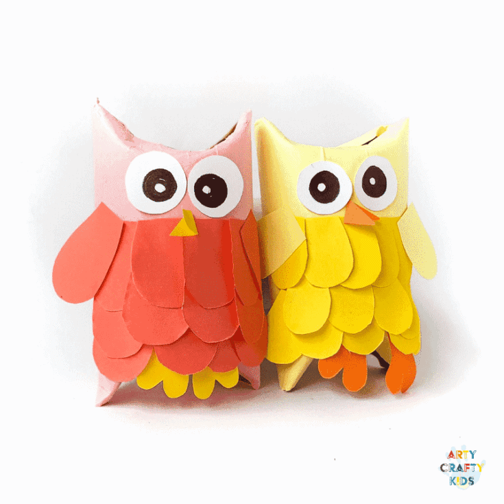 Image for Toilet Paper Roll Owls